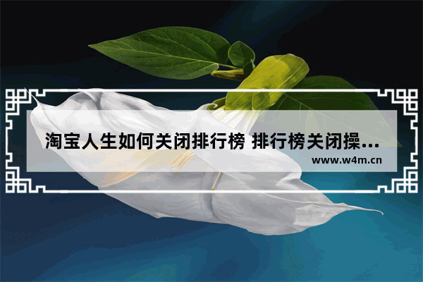 淘宝人生如何关闭排行榜 排行榜关闭操作方法一览