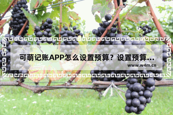 可萌记账APP怎么设置预算？设置预算的方法说明