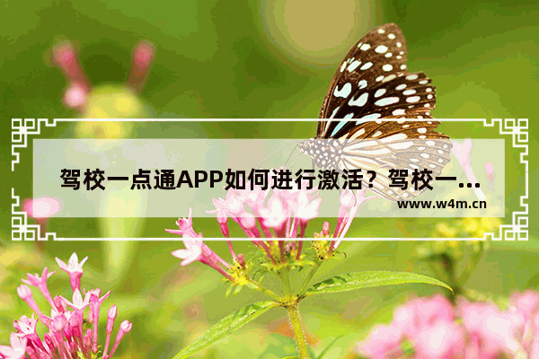 驾校一点通APP如何进行激活？驾校一点通激活方法介绍