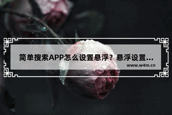 简单搜索APP怎么设置悬浮？悬浮设置方法介绍