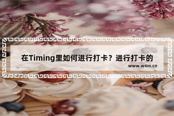 在Timing里如何进行打卡？进行打卡的方法说明