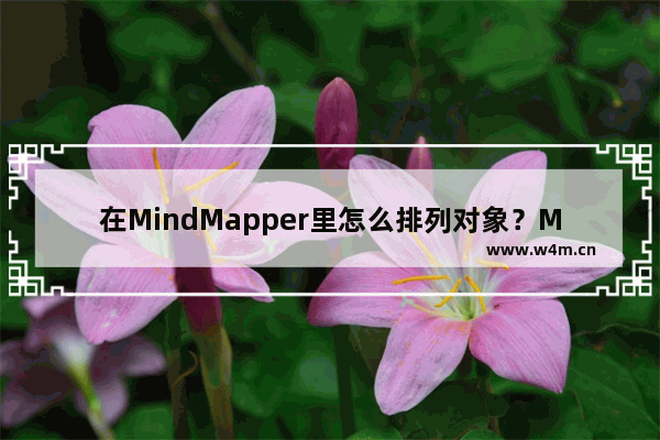 在MindMapper里怎么排列对象？MindMapper排列对象步骤分享