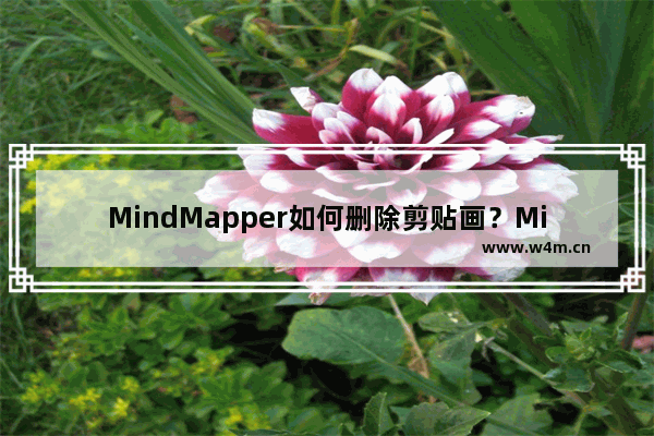 MindMapper如何删除剪贴画？MindMapper删除剪贴画操作方法汇总