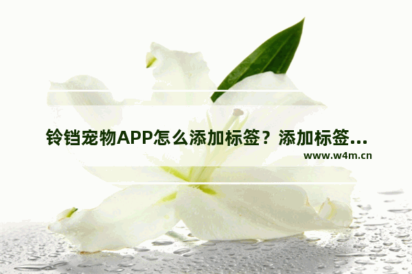 铃铛宠物APP怎么添加标签？添加标签的步骤一览