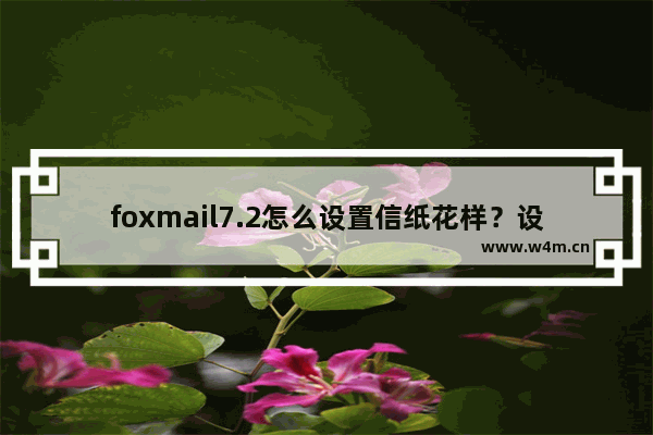 foxmail7.2怎么设置信纸花样？设置信纸花样操作流程分享