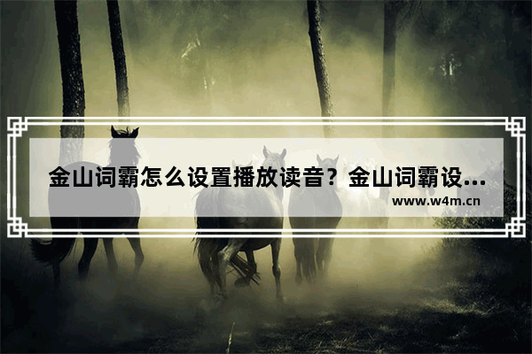 金山词霸怎么设置播放读音？金山词霸设置播放读音方法一览