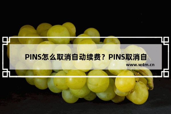 PINS怎么取消自动续费？PINS取消自动续费的步骤说明