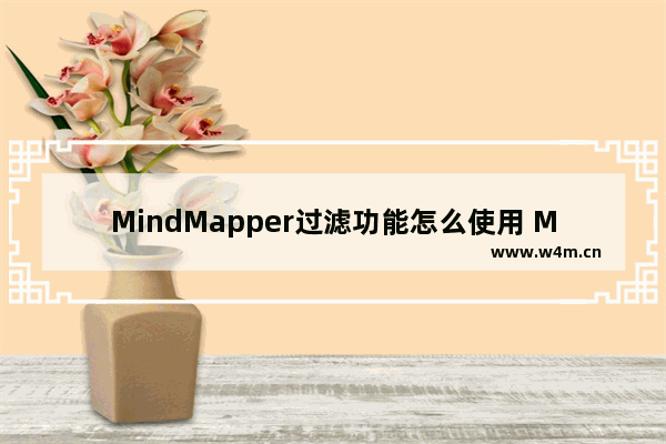 MindMapper过滤功能怎么使用 MindMapper过滤功能介绍