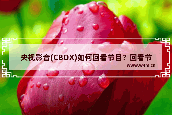 央视影音(CBOX)如何回看节目？回看节目操作步骤分享