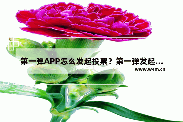 第一弹APP怎么发起投票？第一弹发起投票的步骤分享