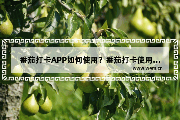 番茄打卡APP如何使用？番茄打卡使用方法讲解