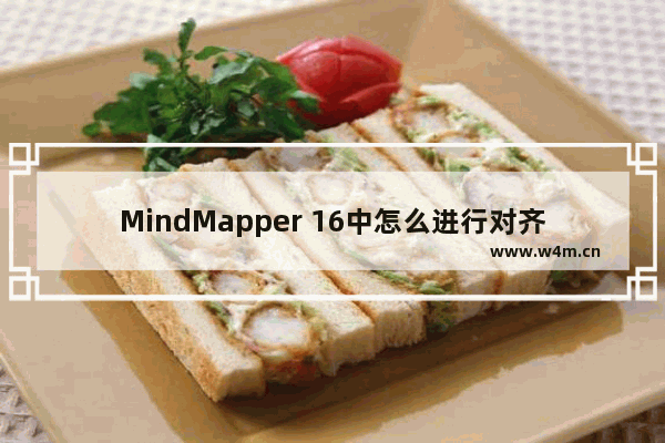 MindMapper 16中怎么进行对齐？MindMapper 16对齐方法分享