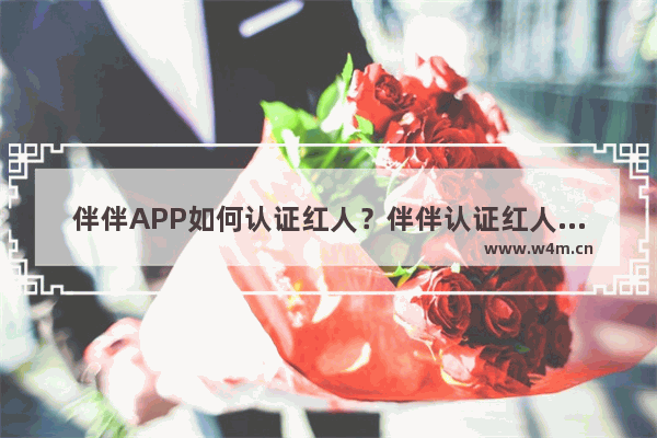 伴伴APP如何认证红人？伴伴认证红人的方法介绍