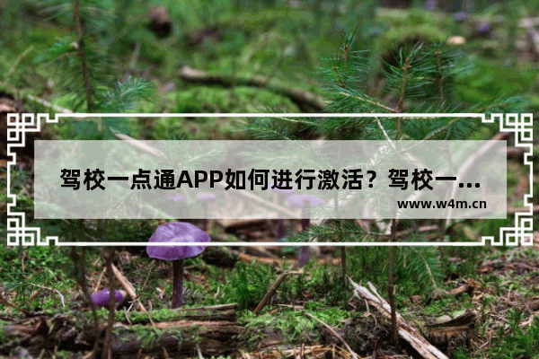 驾校一点通APP如何进行激活？驾校一点通进行激活的技巧分享