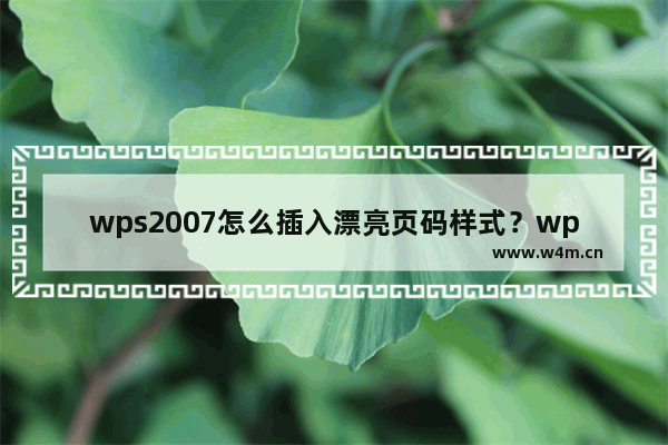 wps2007怎么插入漂亮页码样式？wps2007插入漂亮页码样式步骤分享