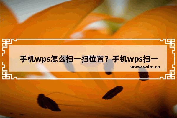 手机wps怎么扫一扫位置？手机wps扫一扫位置使用方法介绍