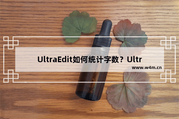 UltraEdit如何统计字数？UltraEdit统计字数方法分享