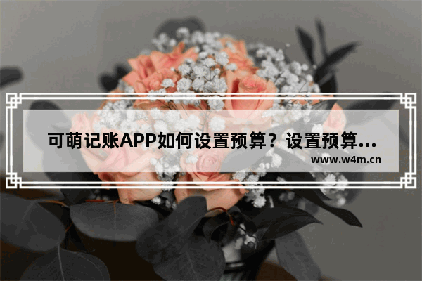 可萌记账APP如何设置预算？设置预算的流程介绍