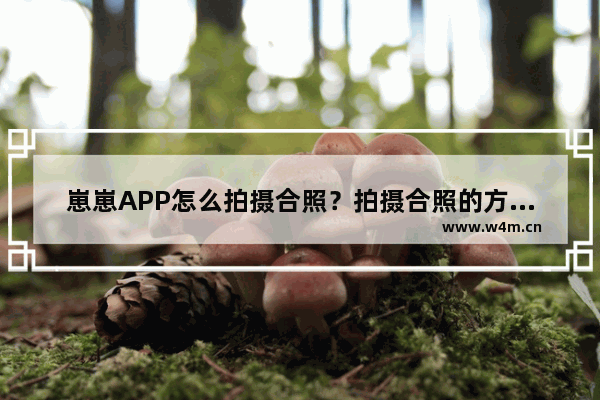 崽崽APP怎么拍摄合照？拍摄合照的方法说明