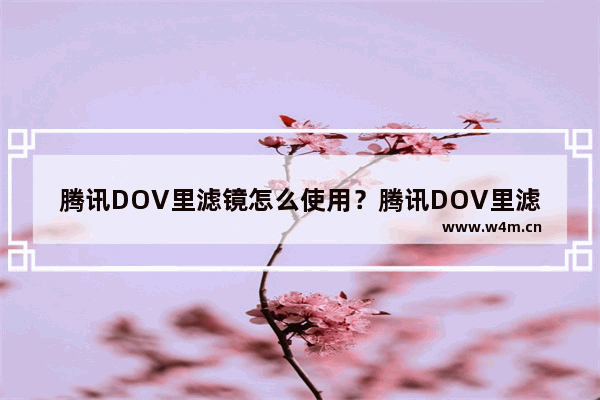 腾讯DOV里滤镜怎么使用？腾讯DOV里滤镜使用方法介绍