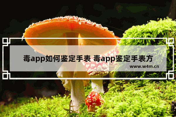 毒app如何鉴定手表 毒app鉴定手表方法一览