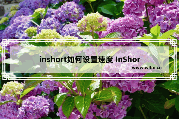 inshort如何设置速度 InShort设置速度图文教程