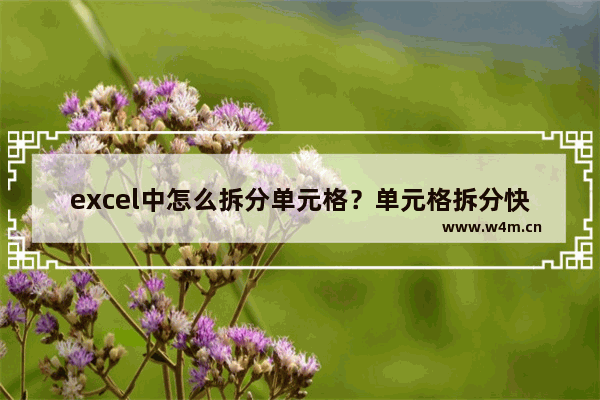 excel中怎么拆分单元格？单元格拆分快捷键分享