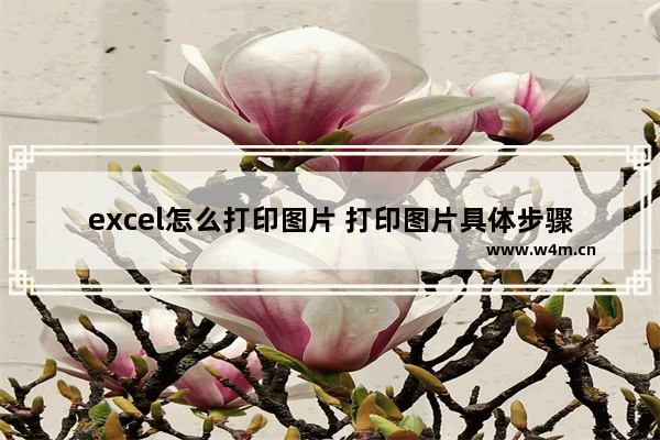 excel怎么打印图片 打印图片具体步骤介绍