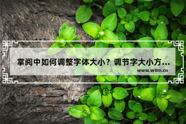 掌阅中如何调整字体大小？调节字大小方法详解