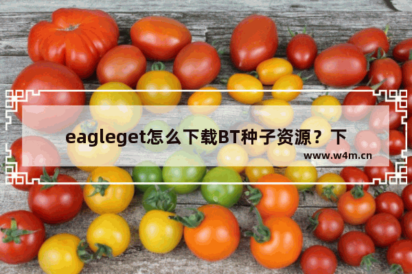 eagleget怎么下载BT种子资源？下载BT种子资源步骤解析