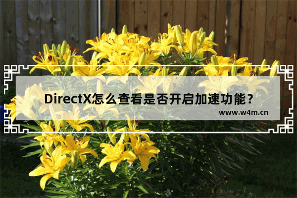 DirectX怎么查看是否开启加速功能？查看开启加速功能方法介绍