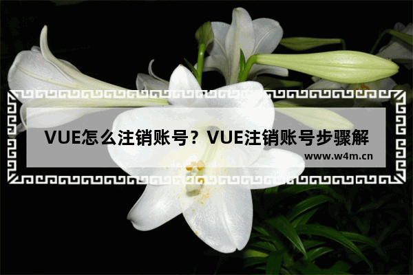 VUE怎么注销账号？VUE注销账号步骤解析