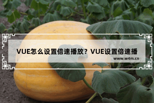 VUE怎么设置倍速播放？VUE设置倍速播放方法详解