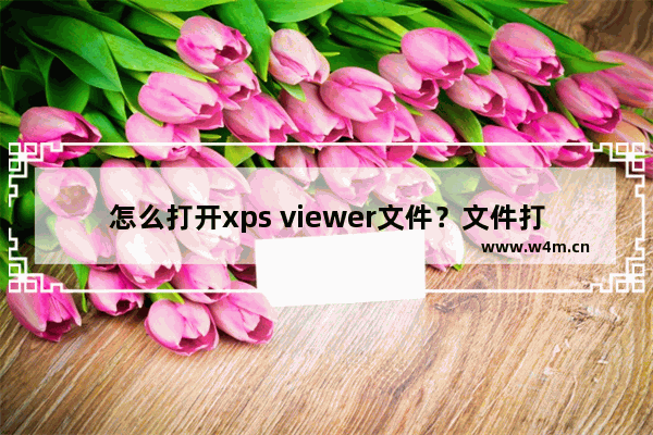 怎么打开xps viewer文件？文件打开方法介绍