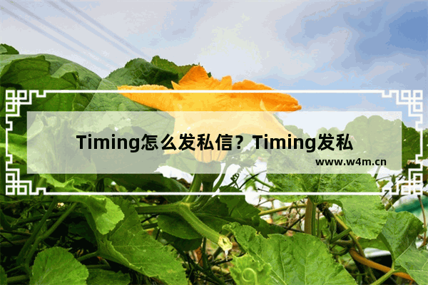 Timing怎么发私信？Timing发私信的方法说明