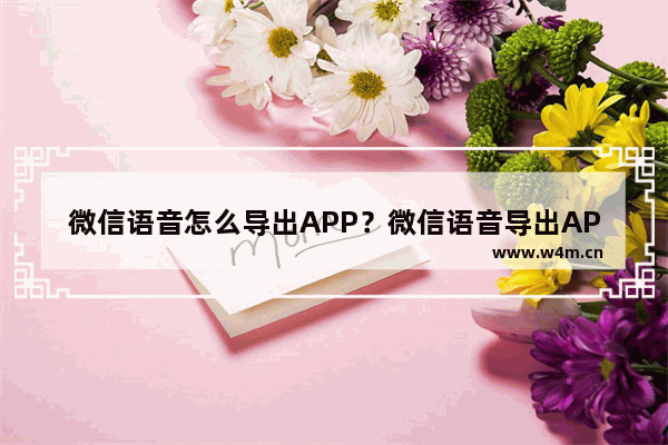 微信语音怎么导出APP？微信语音导出APP的操作流程说明