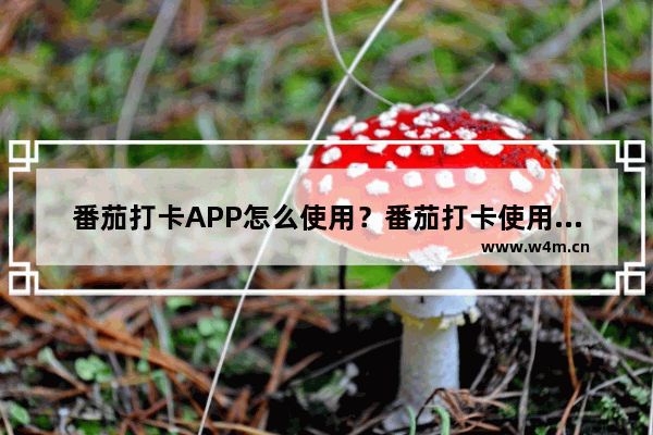 番茄打卡APP怎么使用？番茄打卡使用步骤介绍