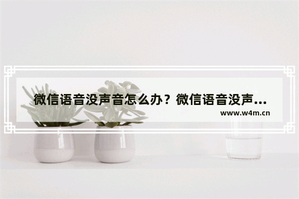 微信语音没声音怎么办？微信语音没声音解决方式一览