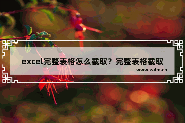 excel完整表格怎么截取？完整表格截取方法介绍