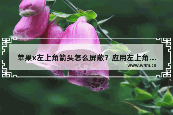 苹果x左上角箭头怎么屏蔽？应用左上角箭头屏蔽方法介绍