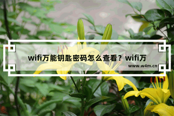 wifi万能钥匙密码怎么查看？wifi万能钥匙密码查看方法介绍