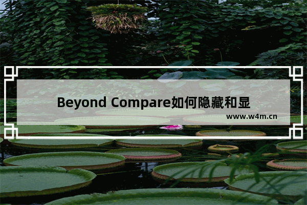 Beyond Compare如何隐藏和显示文本细节？隐藏和显示文本图文步骤分享