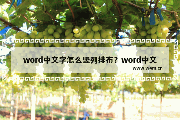 word中文字怎么竖列排布？word中文字竖列排布方法分享