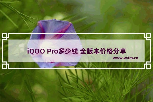 iQOO Pro多少钱 全版本价格分享