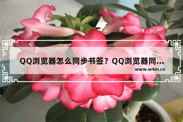 QQ浏览器怎么同步书签？QQ浏览器同步书签方法一览