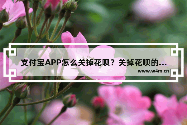 支付宝APP怎么关掉花呗？关掉花呗的方法说明