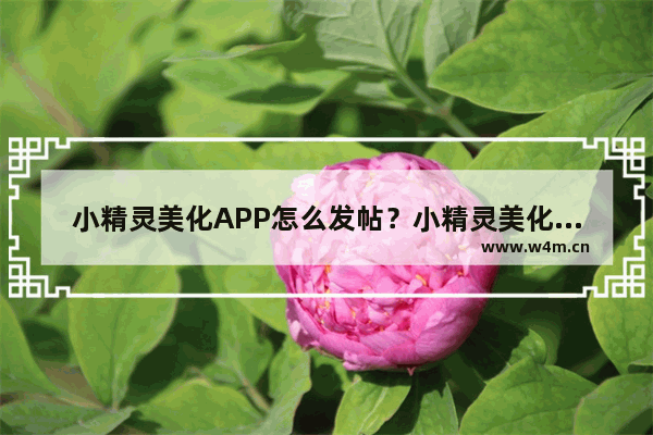 小精灵美化APP怎么发帖？小精灵美化发帖方法介绍