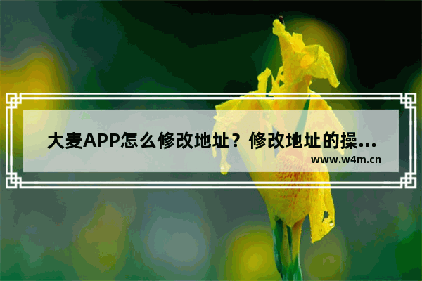 大麦APP怎么修改地址？修改地址的操作方法说明