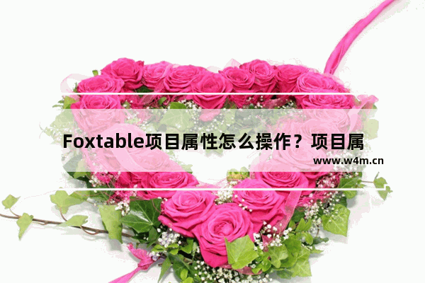 Foxtable项目属性怎么操作？项目属性操作方式一览