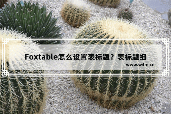 Foxtable怎么设置表标题？表标题细节设置推荐